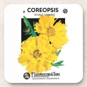 Vintage Seed Packet Art, Yellow Coreopsis Flowers Coaster