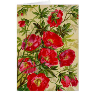 Vintage Seed Packet Catalogue Cards, Postage, Gift