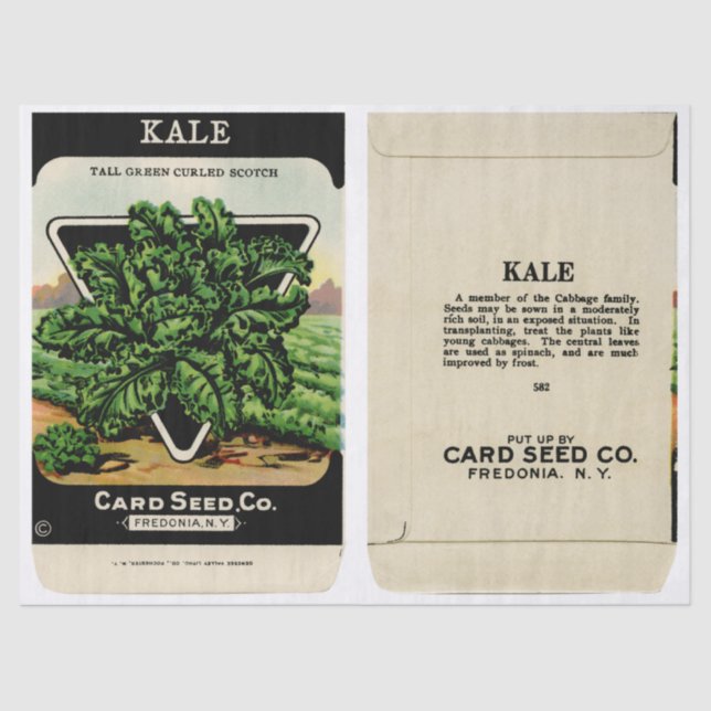 Vintage Seed Packet Kale and Instructions Tissue Paper (Front)