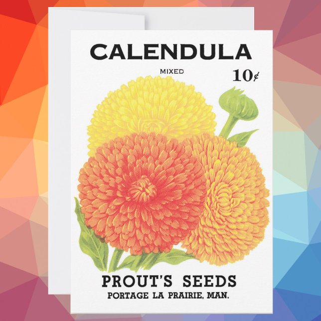 Vintage Seed Packet Label Art, Calendula Flowers (Creator Uploaded)