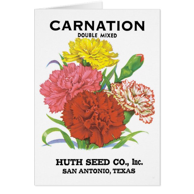 Vintage Seed Packet Label Art, Carnation Flowers (Front)