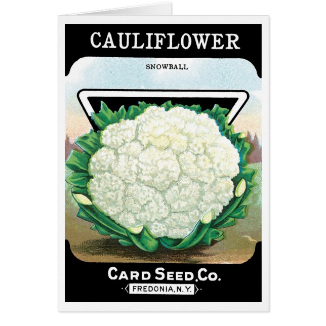 Vintage Seed Packet Label Art, Cauliflower Veggies (Front)