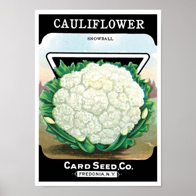 Vintage Seed Packet Label Art, Cauliflower Veggies Poster (Front)