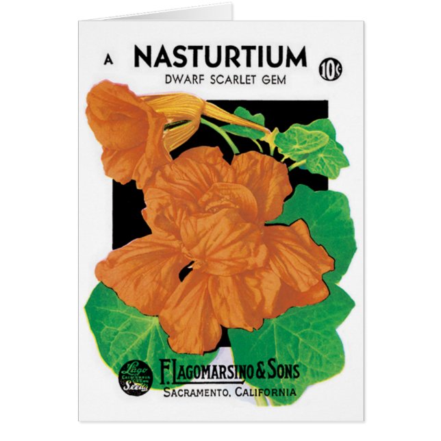Vintage Seed Packet Label Art, Nasturtium Flowers (Front)