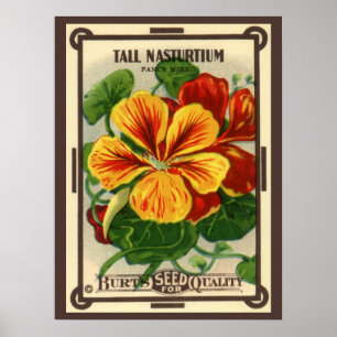 Vintage Seed Packet Label Art, Nasturtium Flowers Poster