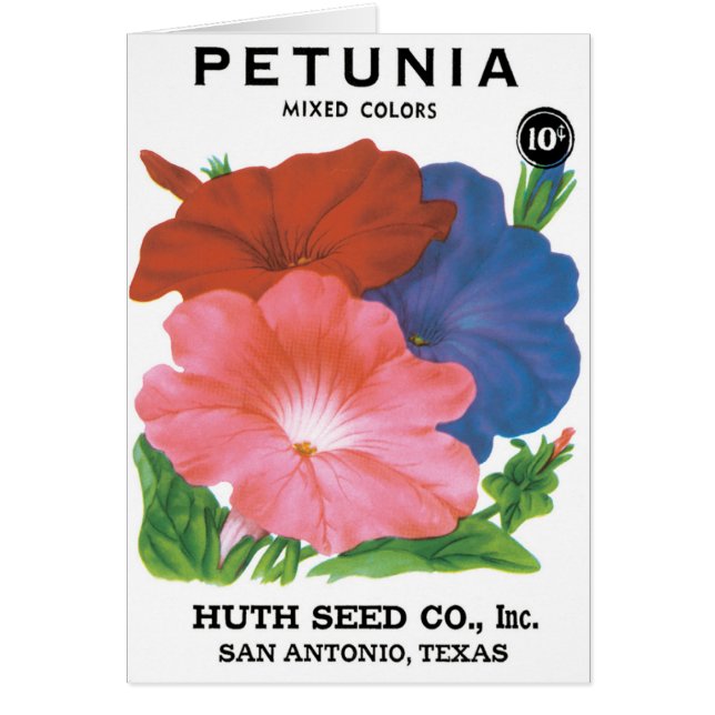 Vintage Seed Packet Label Art, Petunia Flowers (Front)