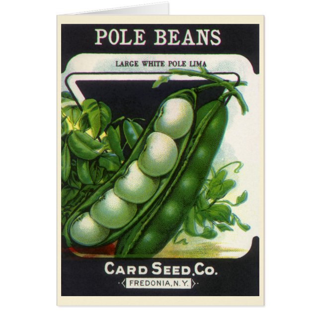 Vintage Seed Packet Label Art, Pole Lima Beans (Front)