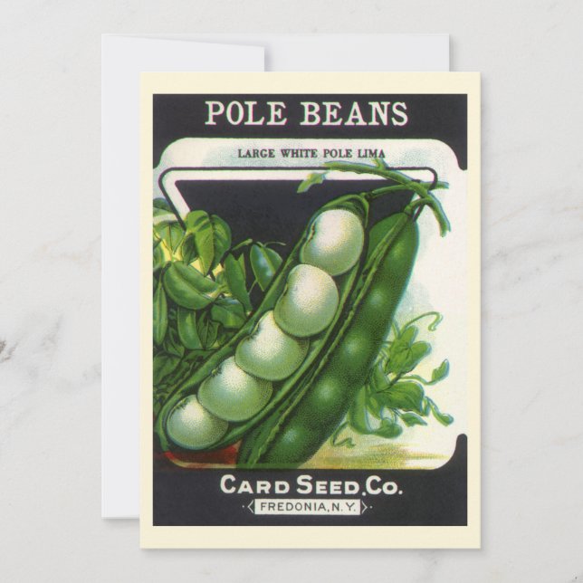 Vintage Seed Packet Label Art, Pole Lima Beans (Front)