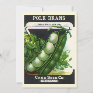 Vintage Seed Packet Label Art, Pole Lima Beans