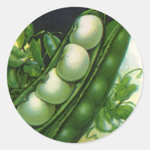 Vintage Seed Packet Label Art, Pole Lima Beans