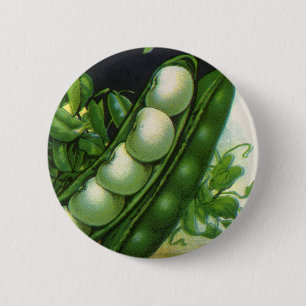 Vintage Seed Packet Label Art, Pole Lima Beans 2 Inch Round Button