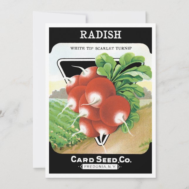 Vintage Seed Packet Label Art, Scarlet Radishes (Front)