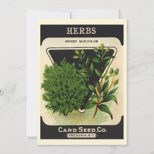 Vintage Seed Packet Label Art Sweet Marjoram Herbs