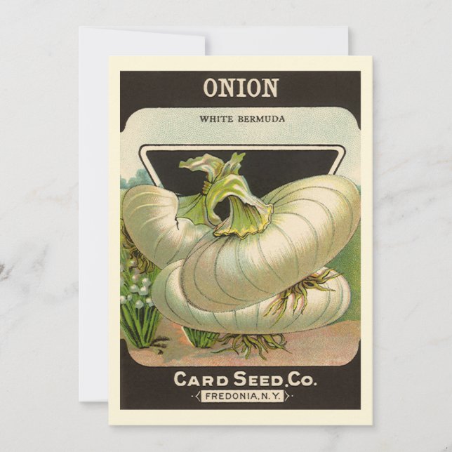 Vintage Seed Packet Label Art White Bermuda Onions (Front)
