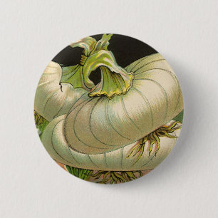 Vintage Seed Packet Label Art White Bermuda Onions 2 Inch Round Button