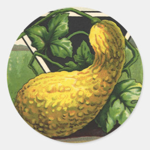 Vintage Seed Packet Label Art Yellow Summer Squash