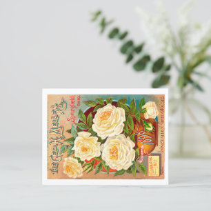 Vintage Seed Packet.  Postcard