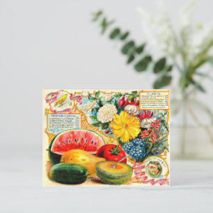 Vintage seed packets postcard
