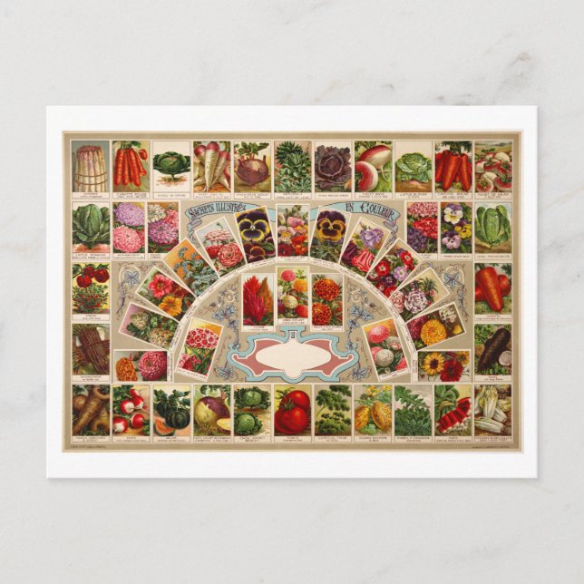 Vintage Seed Packets Postcard (Front)