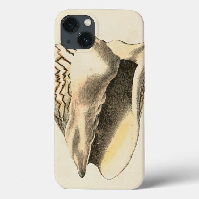 Vintage Sepia Conch Shell Case-Mate iPhone Case (Back)