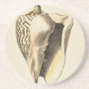Vintage Sepia Conch Shell Coaster