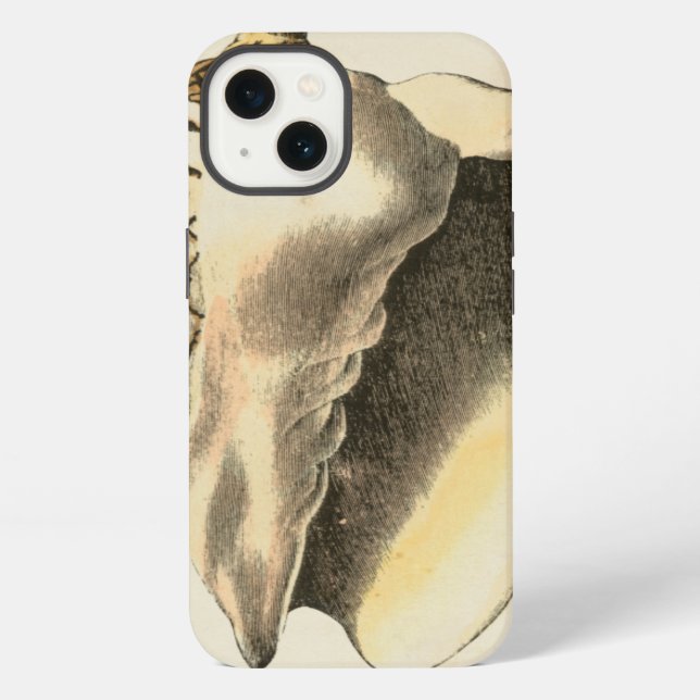 Vintage Sepia Conch Shell iPhone Case (Back)