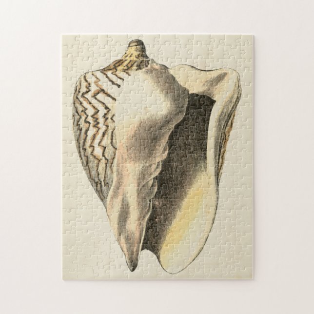 Vintage Sepia Conch Shell Jigsaw Puzzle (Vertical)