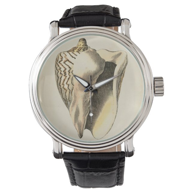 Vintage Sepia Conch Shell Watch (Front)