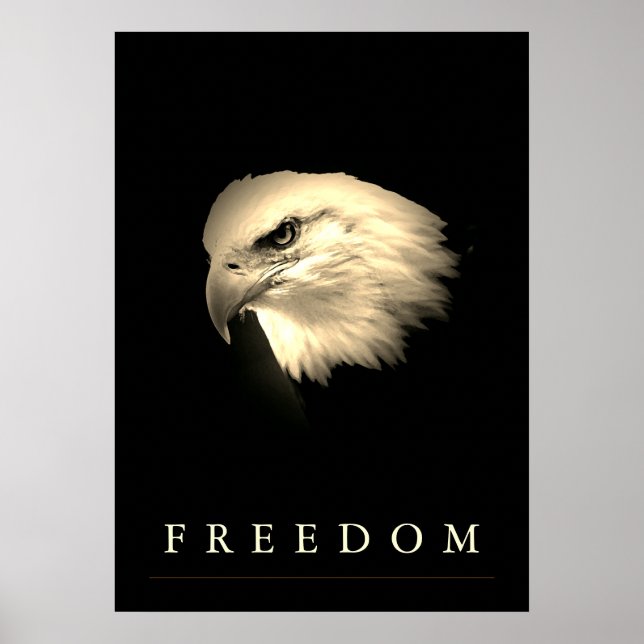 Vintage Sepia Freedom American Eagle Patriotic Poster (Front)