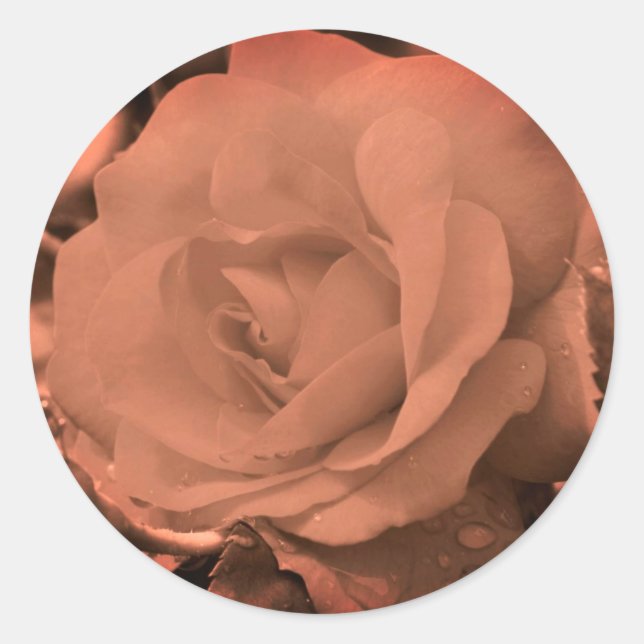 Vintage Sepia Rose Flower Classic Round Sticker (Front)