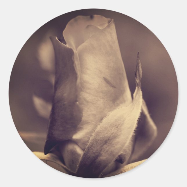Vintage Sepia Rosebud Flower Classic Round Sticker (Front)