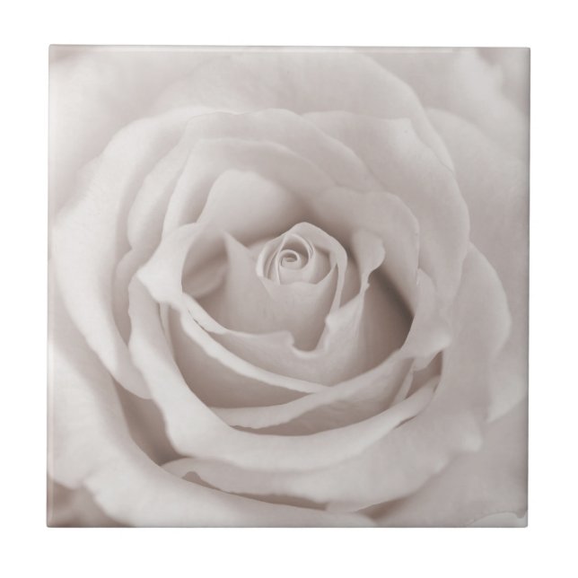 Vintage Sepia White & Cream Rose Background Custom Tile (Front)
