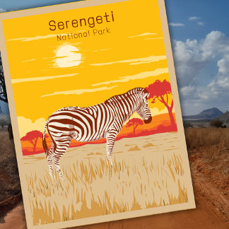 Vintage Serengeti Safari Africa Zebra Travel Art Postcard