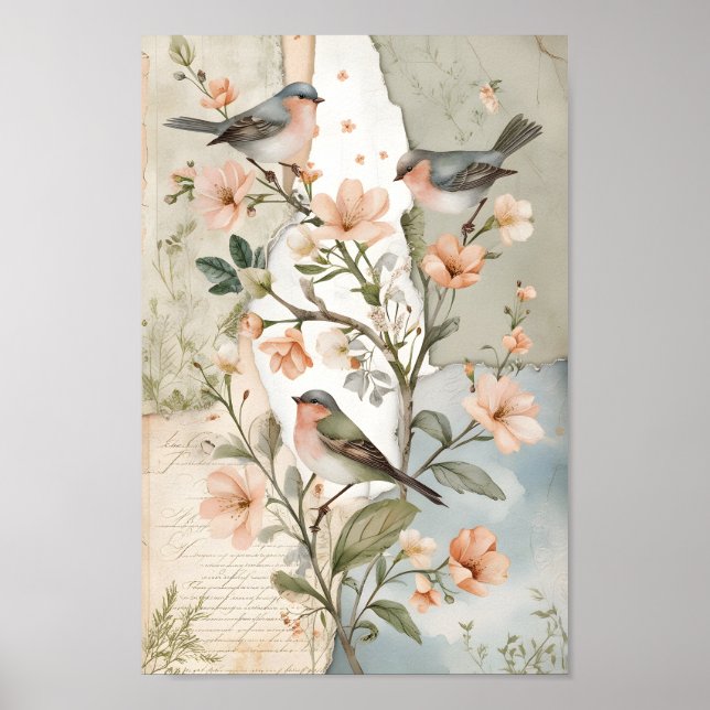  Vintage Shabby Chic Decoupage Bird Botanical Art Poster (Front)