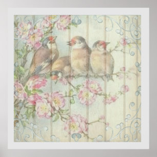 Vintage Shabby Chic Faded Floral Birds Art Design Poster