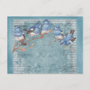 Vintage Shabby Chic Pretty Floral Birds Postcard