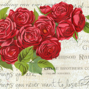 Vintage Shabby Chic Red Roses Antique Script Keychain