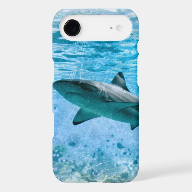 Vintage Shark Case (Back)