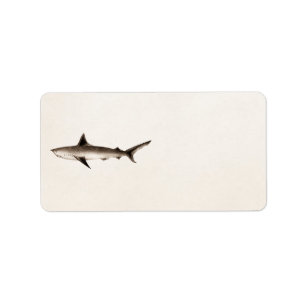 Vintage Shark Illustration - Retro Sharks Template Label