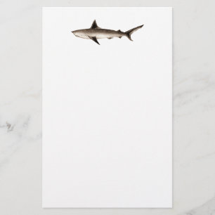Vintage Shark Illustration - Retro Sharks Template Stationery