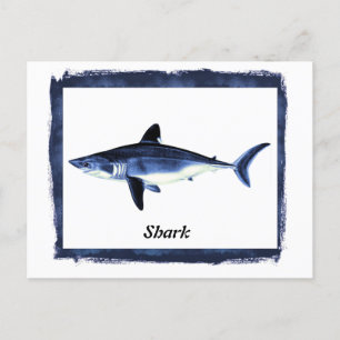 Vintage Shark in Black Frame  Postcard