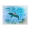 Vintage Shark Postcard