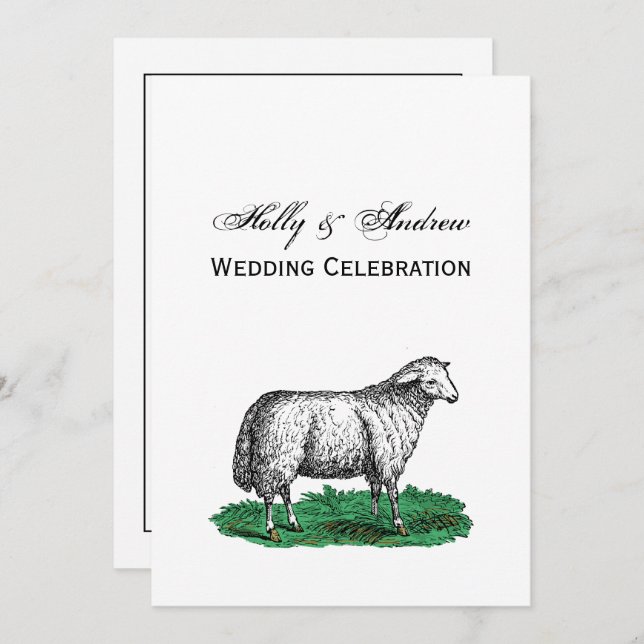 Vintage Sheep Ewe Farm Animals Drawing C Invitation (Front/Back)