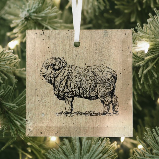 Vintage Sheep Glass Ornament (Insitu)