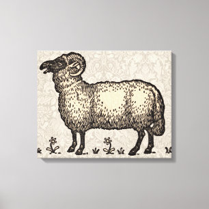 Vintage Sheep Illustration: Farm Classic Art Canvas Print