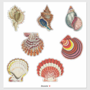 Vintage Shells Sticker Set