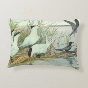 Vintage Shorebirds in a Marsh by Louis Fuertes Accent Pillow