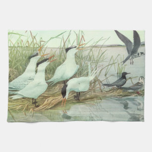Vintage Shorebirds in a Marsh by Louis Fuertes Kitchen Towel