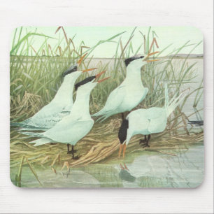 Vintage Shorebirds in a Marsh by Louis Fuertes Mouse Pad