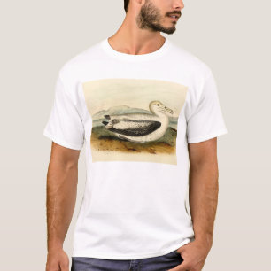 Vintage Short Tailed Albatross Bird T-Shirt